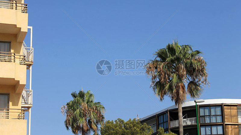 导游服务标准对比